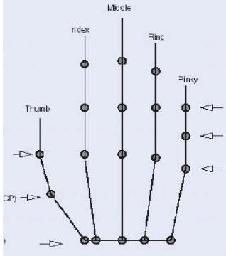 hand diagram